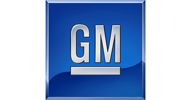 Gm Logo E13877867777511