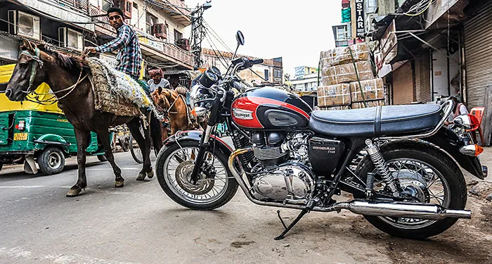 Triumph Bonneville T100 & Thruxton