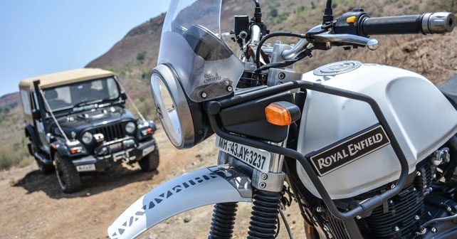 re himalayan close up view
