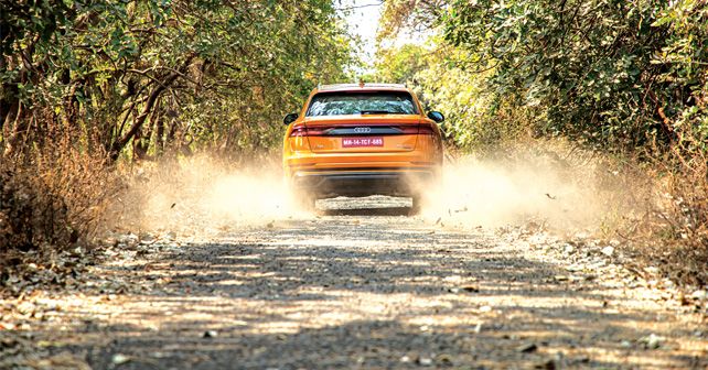 Audi Q8 Rear Action