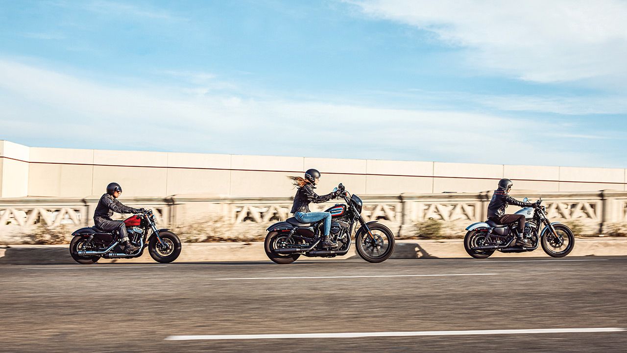 harley davidson iron 8831