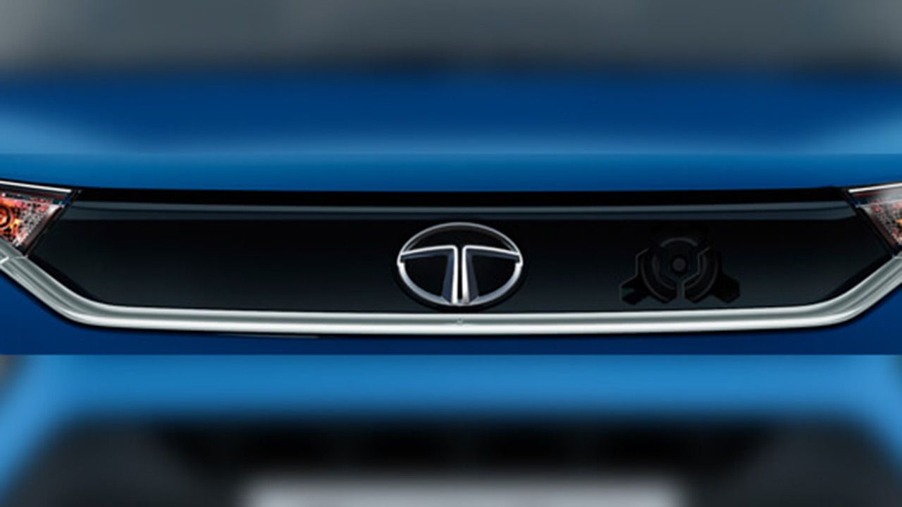 signature humanity line