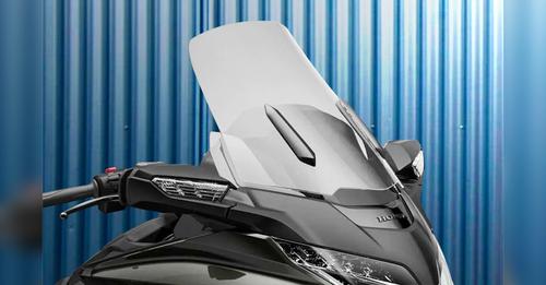 Honda Goldwing Windshield View