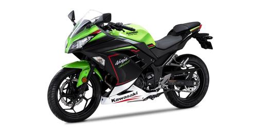 Ninja 300 [2022]