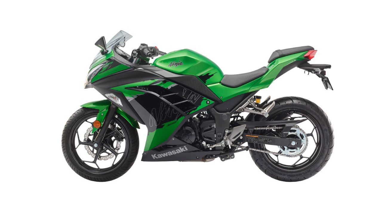 Kawasaki Ninja 300 Side View5