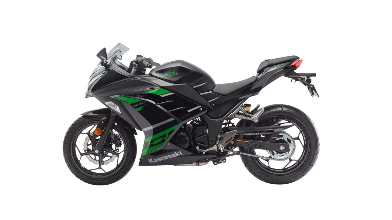 Kawasaki Ninja 300 Side View6