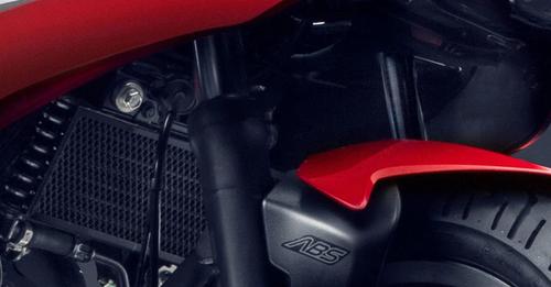 Bajaj Pulsar F250 Front Suspension View