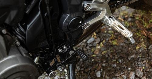 Triumph Trident 660 Gear Lever View