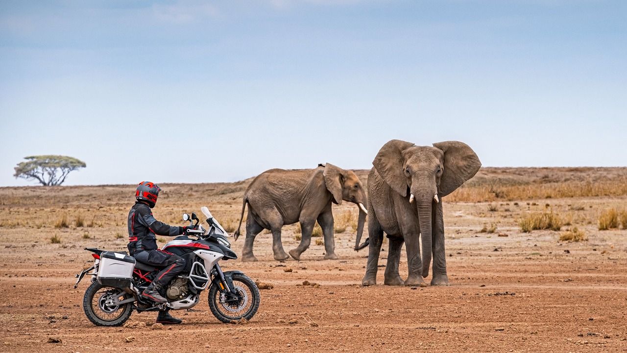 Ducati Multistrada V4 Rally