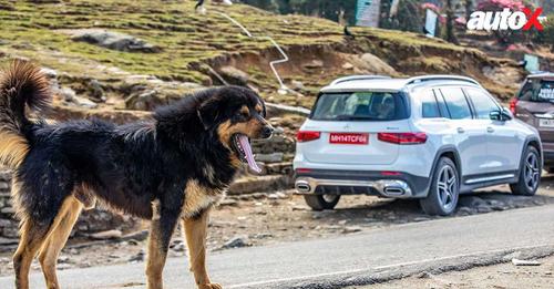 Merc GLB Rear Three Quarter1