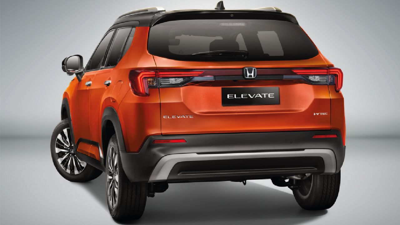 Elevate Rear