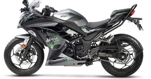 Kawasaki Ninja 300 Metallic Moondust Gray