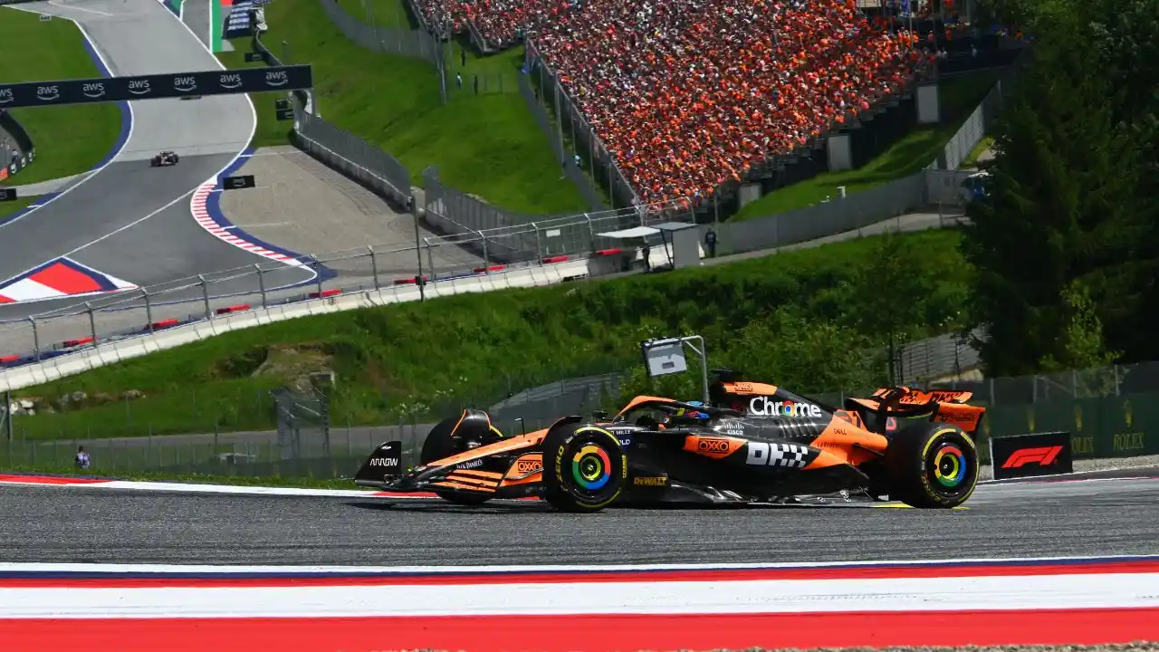 F1 (7)