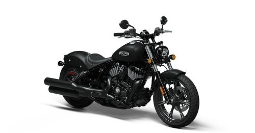 Indian Chief Dark Horse